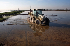 lavorazione-riso-risaia-acqua-2