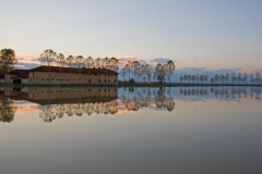 risaia-allagata-dop-baraggia