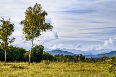 territorio-baraggia-biellese-vercellese